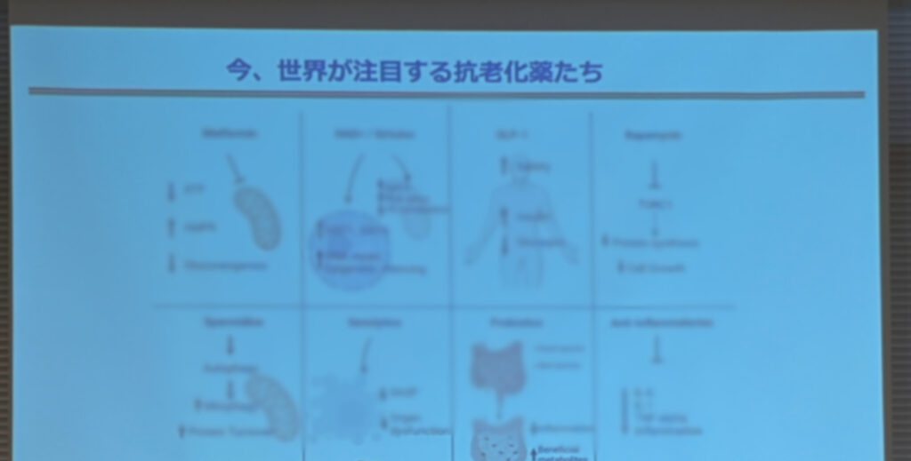 最新の抗老化と生化学に関するセミナー講義スライド