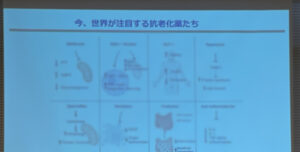 最新の抗老化と生化学に関するセミナー講義スライド